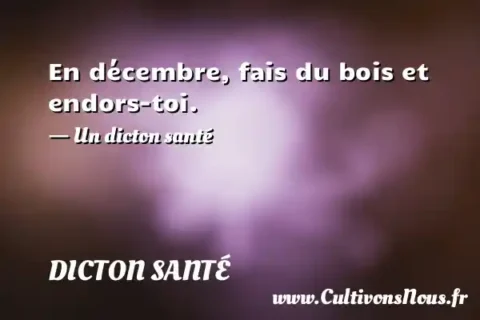 En décembre, fais du bois et endors-toi. - Un dicton santé DICTON SANTÉ