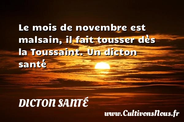 Le mois de novembre est malsain, il fait - Dicton santé