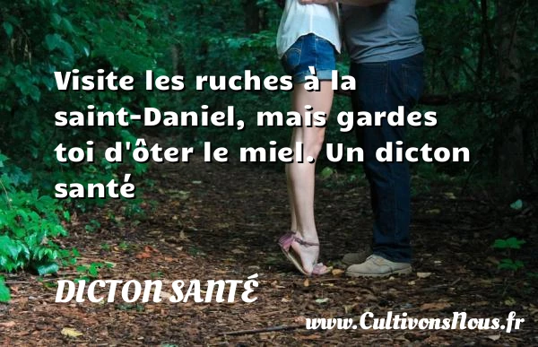 Visite les ruches à la saint-Daniel, mais gardes toi d’ôter le - Dicton santé