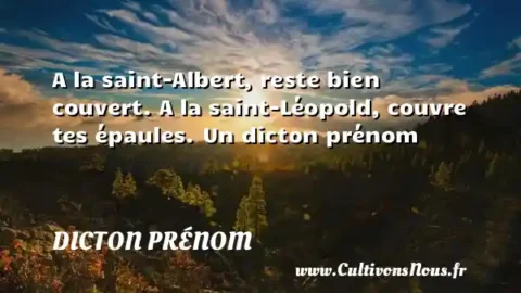 A la saint-Albert, reste bien couvert. A la saint-Léopold, couvre tes épaules. Un dicton prénom DICTON PRÉNOM