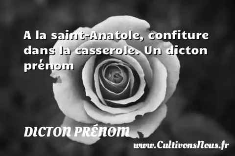 A la saint-Anatole, confiture dans la casserole. Un dicton prénom DICTON PRÉNOM