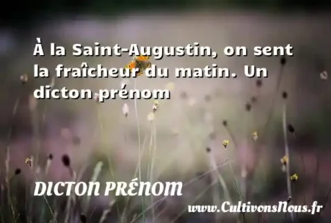 À la Saint-Augustin, on sent la fraîcheur du matin. Un dicton prénom DICTON PRÉNOM