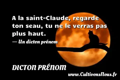 A la saint-Claude, regarde ton seau, tu ne le verras pas plus haut. - Un dicton prénom DICTON PRÉNOM
