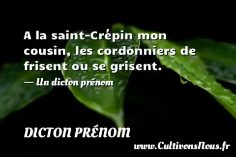 A la saint-Crépin mon cousin, les cordonniers de frisent ou se grisent. - Un dicton prénom DICTON PRÉNOM