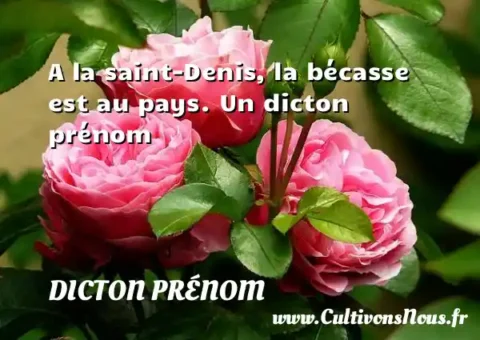 A la saint-Denis, la bécasse est au pays. Un dicton prénom DICTON PRÉNOM