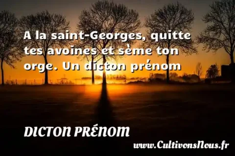 A la saint-Georges, quitte tes avoines et sème ton orge. Un dicton prénom DICTON PRÉNOM