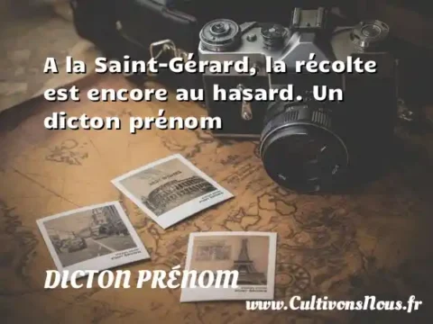 A la Saint-Gérard, la récolte est encore au hasard. Un dicton prénom DICTON PRÉNOM