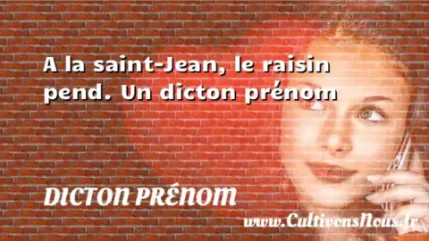 A la saint-Jean, le raisin pend. Un dicton prénom DICTON PRÉNOM