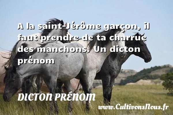 A la saint-Jérôme garçon, il faut prendre de ta charrue - Dicton prénom