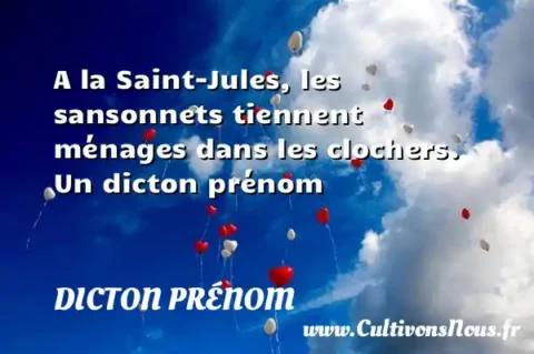 A la Saint-Jules, les sansonnets tiennent ménages dans les clochers. Un dicton prénom DICTON PRÉNOM
