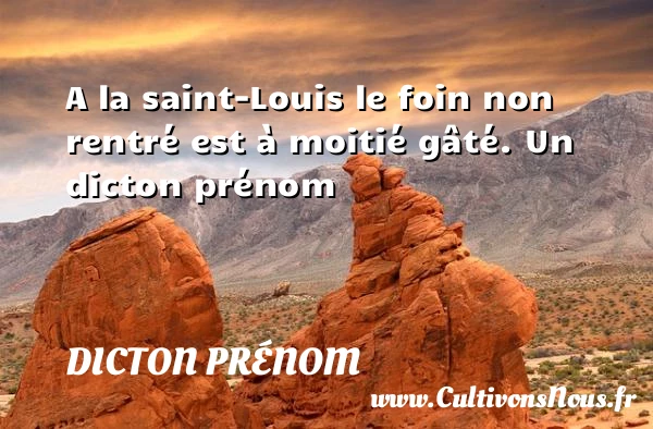 A la saint-Louis le foin non rentré est à - Dicton prénom
