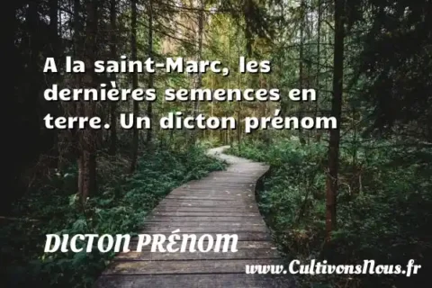 A la saint-Marc, les dernières semences en terre. Un dicton prénom DICTON PRÉNOM