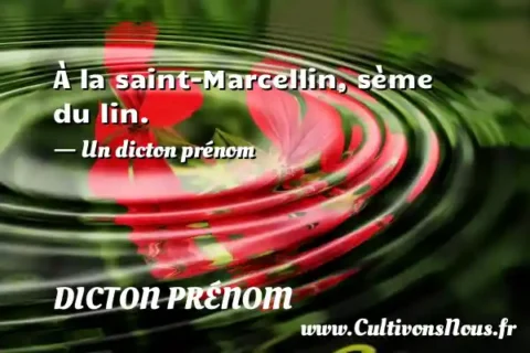 À la saint-Marcellin, sème du lin. - Un dicton prénom DICTON PRÉNOM