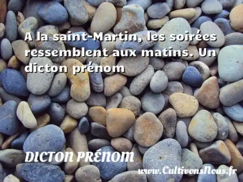 A la saint-Martin, les soirées ressemblent aux matins. Un dicton prénom DICTON PRÉNOM