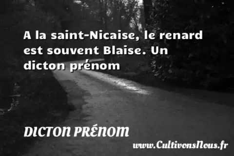 A la saint-Nicaise, le renard est souvent Blaise. Un dicton prénom DICTON PRÉNOM