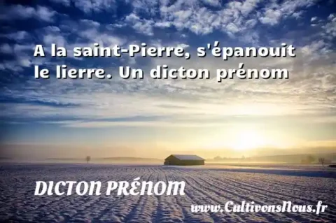 A la saint-Pierre, s épanouit le lierre. Un dicton prénom DICTON PRÉNOM