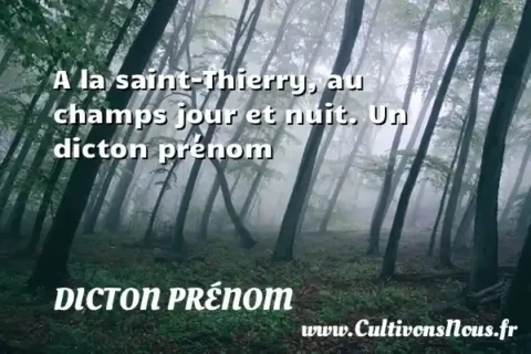 A la saint-Thierry, au champs jour et nuit. Un dicton prénom DICTON PRÉNOM