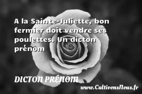A la Sainte-Juliette, bon fermier doit vendre ses poulettes. Un dicton prénom DICTON PRÉNOM