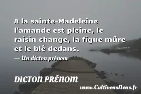 A la sainte-Madeleine l amande est pleine, le raisin change, la figue mûre et le blé dedans. - Un dicton prénom DICTON PRÉNOM