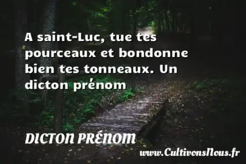 A saint-Luc, tue tes pourceaux et bondonne bien tes tonneaux. Un dicton prénom DICTON PRÉNOM