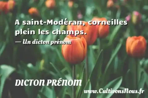 A saint-Modéran, corneilles plein les champs. - Un dicton prénom DICTON PRÉNOM