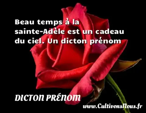 Beau temps à la sainte-Adèle est un cadeau du ciel. Un dicton prénom DICTON PRÉNOM
