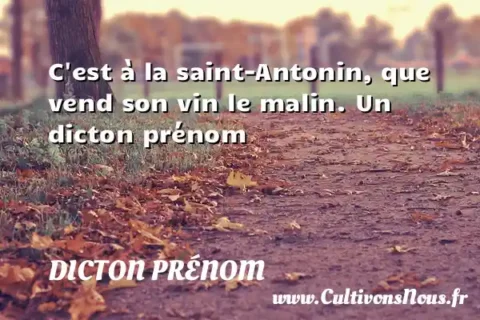 C est à la saint-Antonin, que vend son vin le malin. Un dicton prénom DICTON PRÉNOM