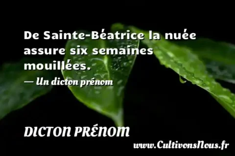 De Sainte-Béatrice la nuée assure six semaines mouillées. - Un dicton prénom DICTON PRÉNOM