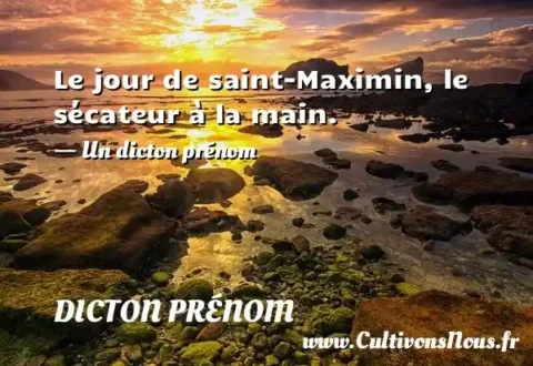 Le jour de saint-Maximin, le sécateur à la main. - Un dicton prénom DICTON PRÉNOM