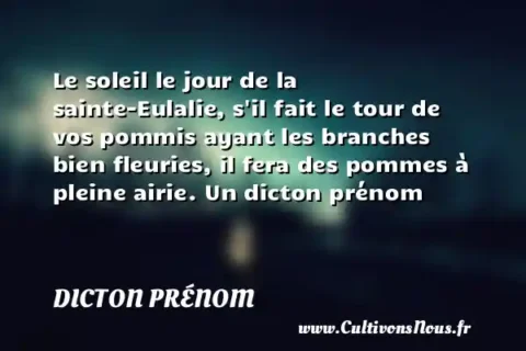 Le soleil le jour de la sainte-Eulalie, s il fait le tour de vos pommis ayant les branches bien fleuries, il fera des pommes à pleine airie. Un dicton prénom DICTON PRÉNOM