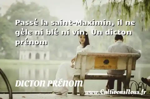 Passé la saint-Maximin, il ne gèle ni blé ni vin. Un dicton prénom DICTON PRÉNOM