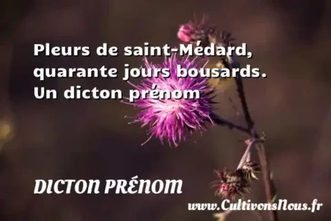 Pleurs de saint-Médard, quarante jours bousards. Un dicton prénom DICTON PRÉNOM
