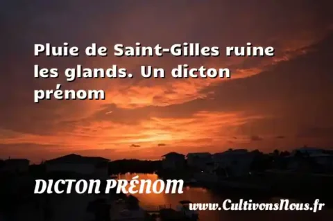 Pluie de Saint-Gilles ruine les glands. Un dicton prénom DICTON PRÉNOM