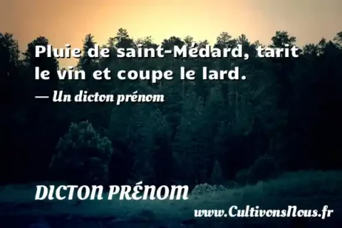 Pluie de saint-Médard, tarit le vin et coupe le lard. - Un dicton prénom DICTON PRÉNOM