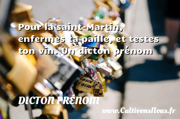 Pour la saint-Martin, enfermes ta paille, et testes ton - Dicton prénom