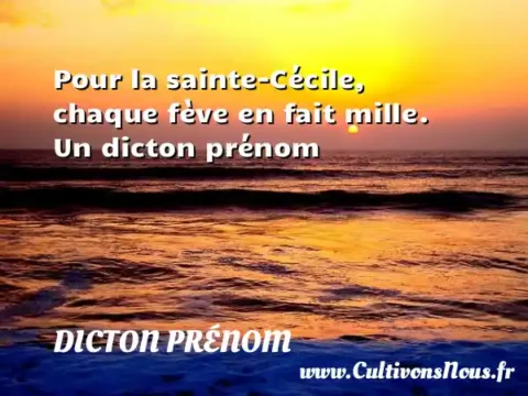 Pour la sainte-Cécile, chaque fève en fait mille. Un dicton prénom DICTON PRÉNOM