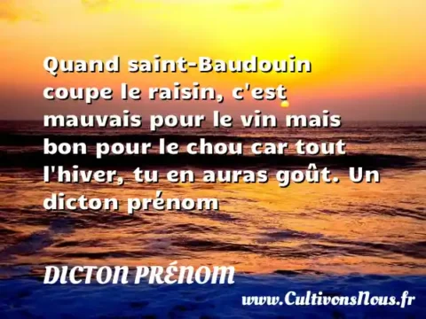 Quand saint-Baudouin coupe le raisin, c est mauvais pour le vin mais bon pour le chou car tout l hiver, tu en auras goût. Un dicton prénom DICTON PRÉNOM