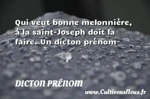 Qui veut bonne melonnière, à la saint-Joseph doit la faire. Un dicton prénom DICTON PRÉNOM