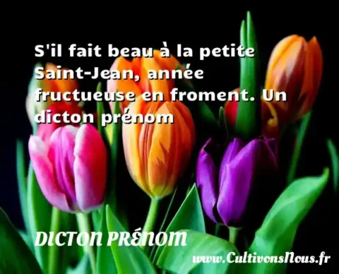 S il fait beau à la petite Saint-Jean, année fructueuse en froment. Un dicton prénom DICTON PRÉNOM