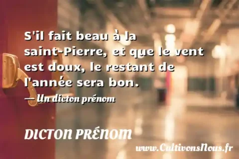 S il fait beau à la saint-Pierre, et que le vent est doux, le restant de l année sera bon. - Un dicton prénom DICTON PRÉNOM