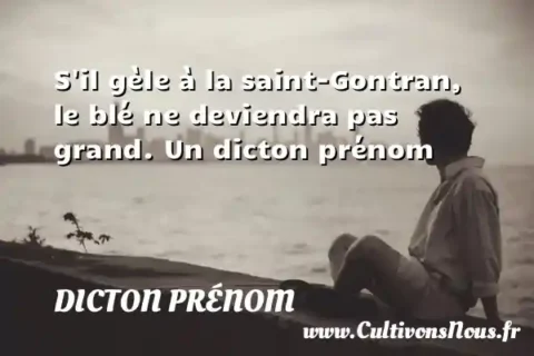 S il gèle à la saint-Gontran, le blé ne deviendra pas grand. Un dicton prénom DICTON PRÉNOM