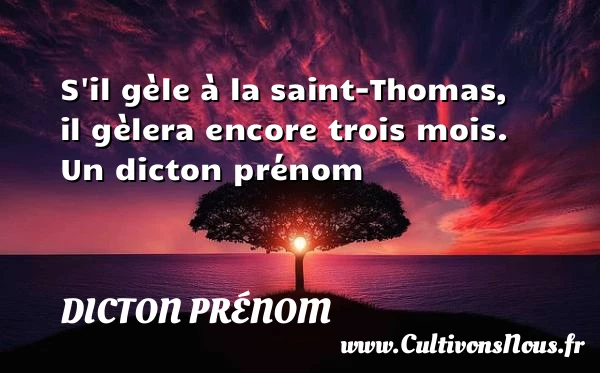S’il gèle à la saint-Thomas, il gèlera encore trois - Dicton prénom