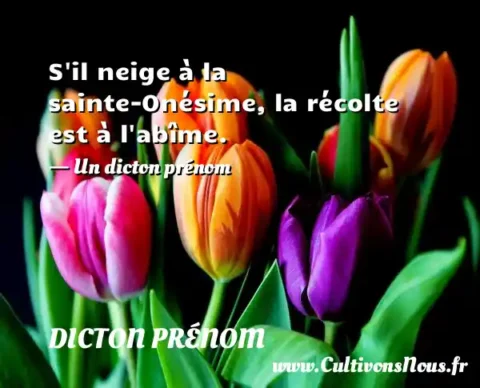 S il neige à la sainte-Onésime, la récolte est à l abîme. - Un dicton prénom DICTON PRÉNOM