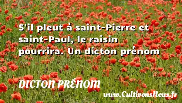 S il pleut à saint-Pierre et saint-Paul, le raisin pourrira. Un dicton prénom DICTON PRÉNOM