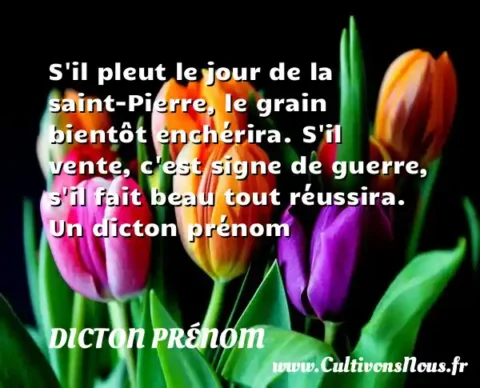 S il pleut le jour de la saint-Pierre, le grain bientôt enchérira. S il vente, c est signe de guerre, s il fait beau tout réussira. Un dicton prénom DICTON PRÉNOM