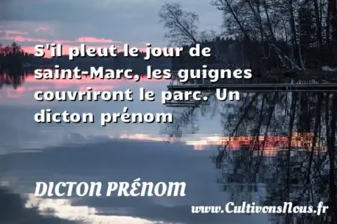 S il pleut le jour de saint-Marc, les guignes couvriront le parc. Un dicton prénom DICTON PRÉNOM