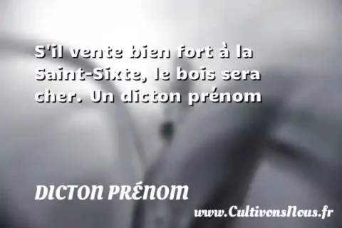 S il vente bien fort à la Saint-Sixte, le bois sera cher. Un dicton prénom DICTON PRÉNOM