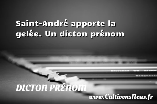 Saint-André apporte la gelée. - Dicton prénom