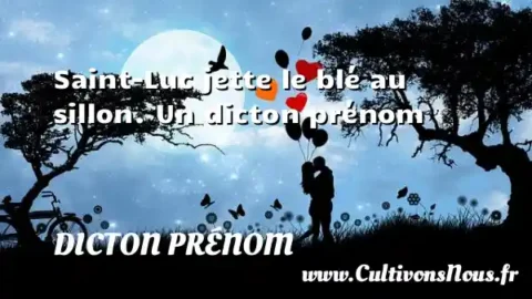 Saint-Luc jette le blé au sillon. Un dicton prénom DICTON PRÉNOM