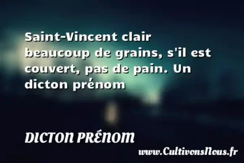 Saint-Vincent clair beaucoup de grains, s il est couvert, pas de pain. Un dicton prénom DICTON PRÉNOM